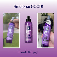 SALE! Nourishing Lavender Pet Spray