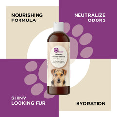 Vanilla Oatmeal Dog Shampoo with Lavender