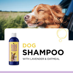 Lavender Oatmeal Pet Shampoo