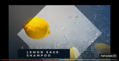 Lemon Sage Cleansing Shampoo For Men And Women
