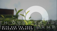 Tea Tree And Rosemary Shampoo